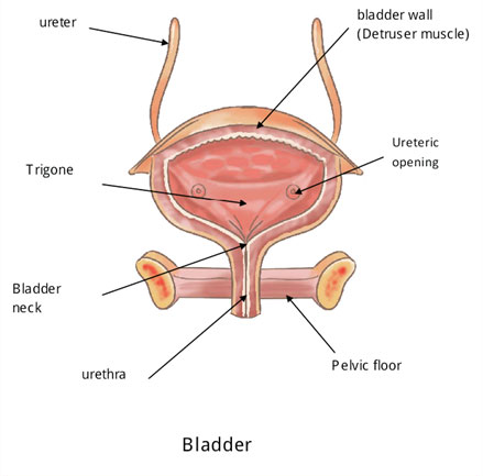 işeme disfonksiyonu